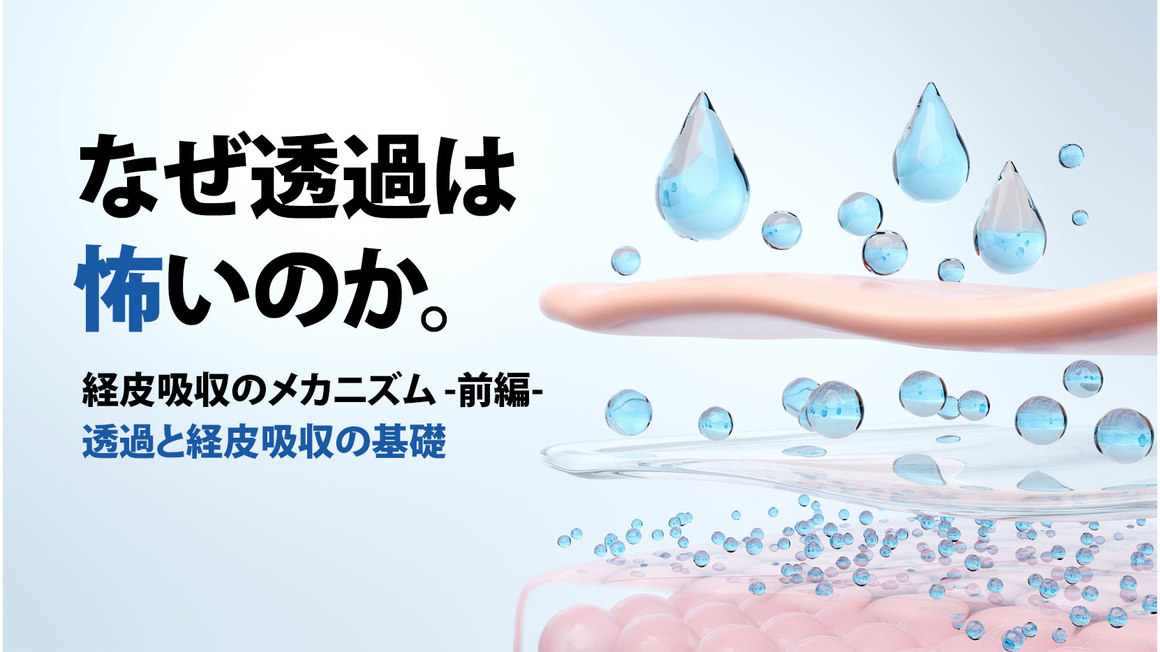 なぜ透過は怖いのか。経皮吸収のメカニズム<br>－前編－ 透過と経皮吸収の基礎